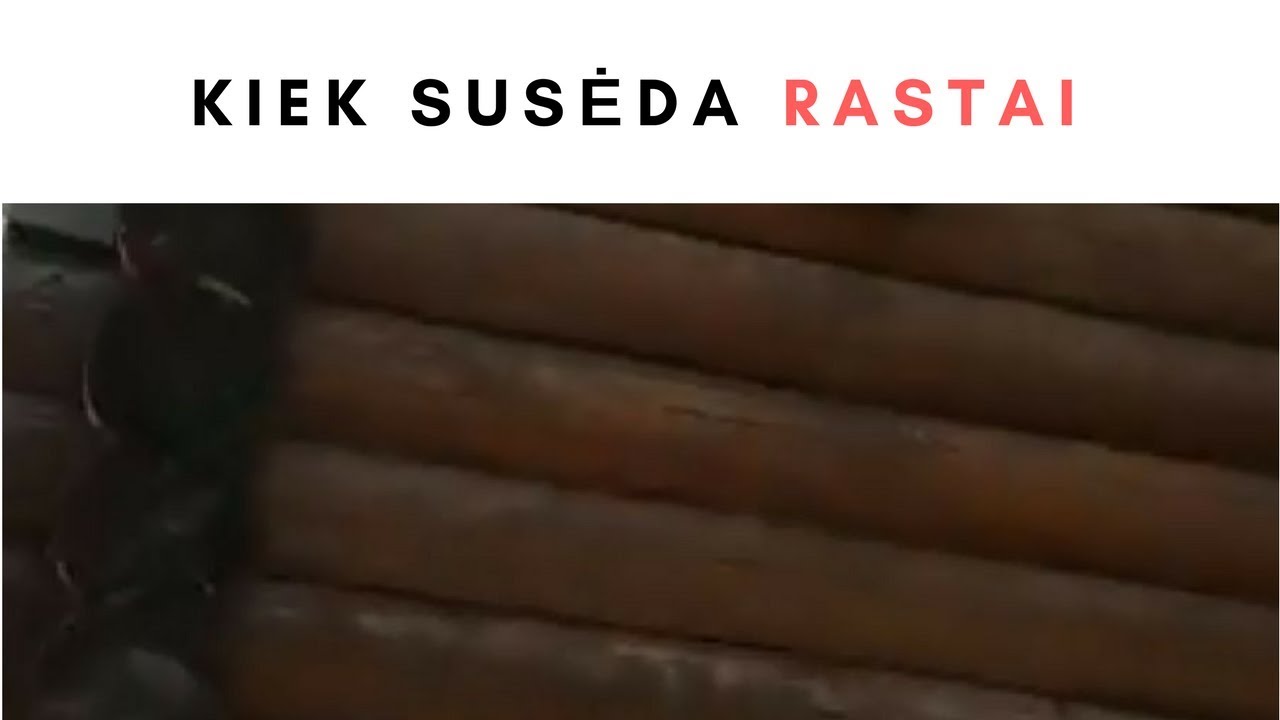 RASTINIO NAMO STATYBA: kiek susėda rastai