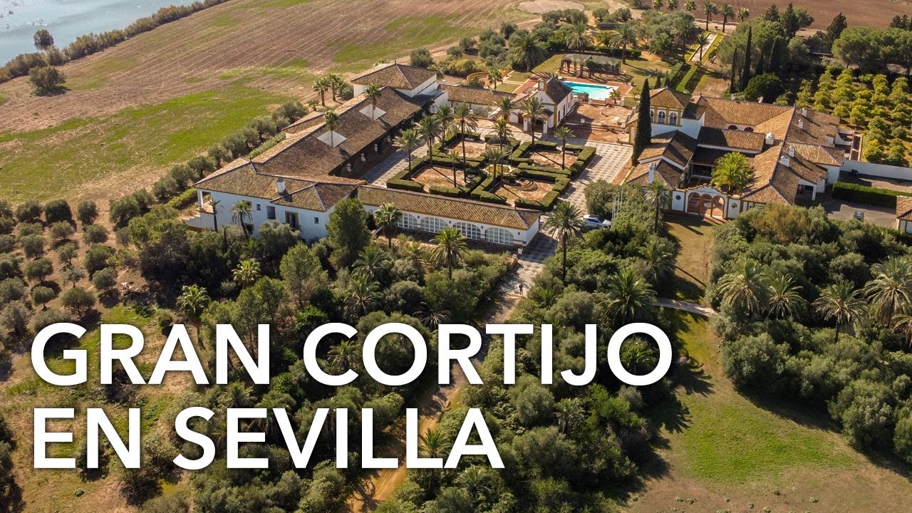 Cortijo de 506 hectáreas en venta entre Sevilla y Cádiz P3139
