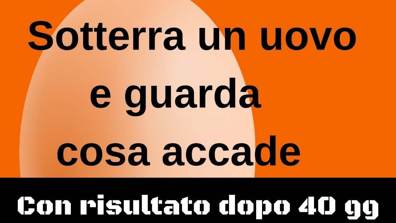 Sotterra un uovo e guarda cosa accade con risultato dopo 40 gg
