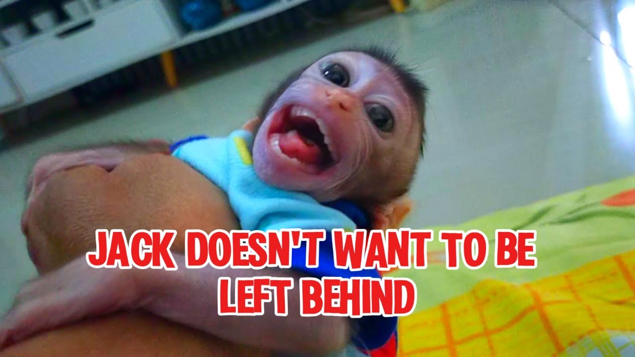 jack doesn't want to be left behind