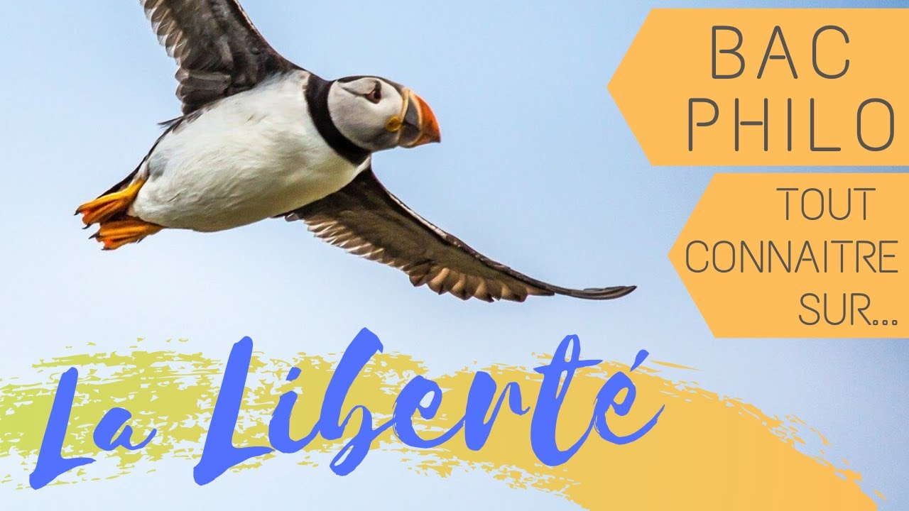 Philosophie : La liberté (BAC)