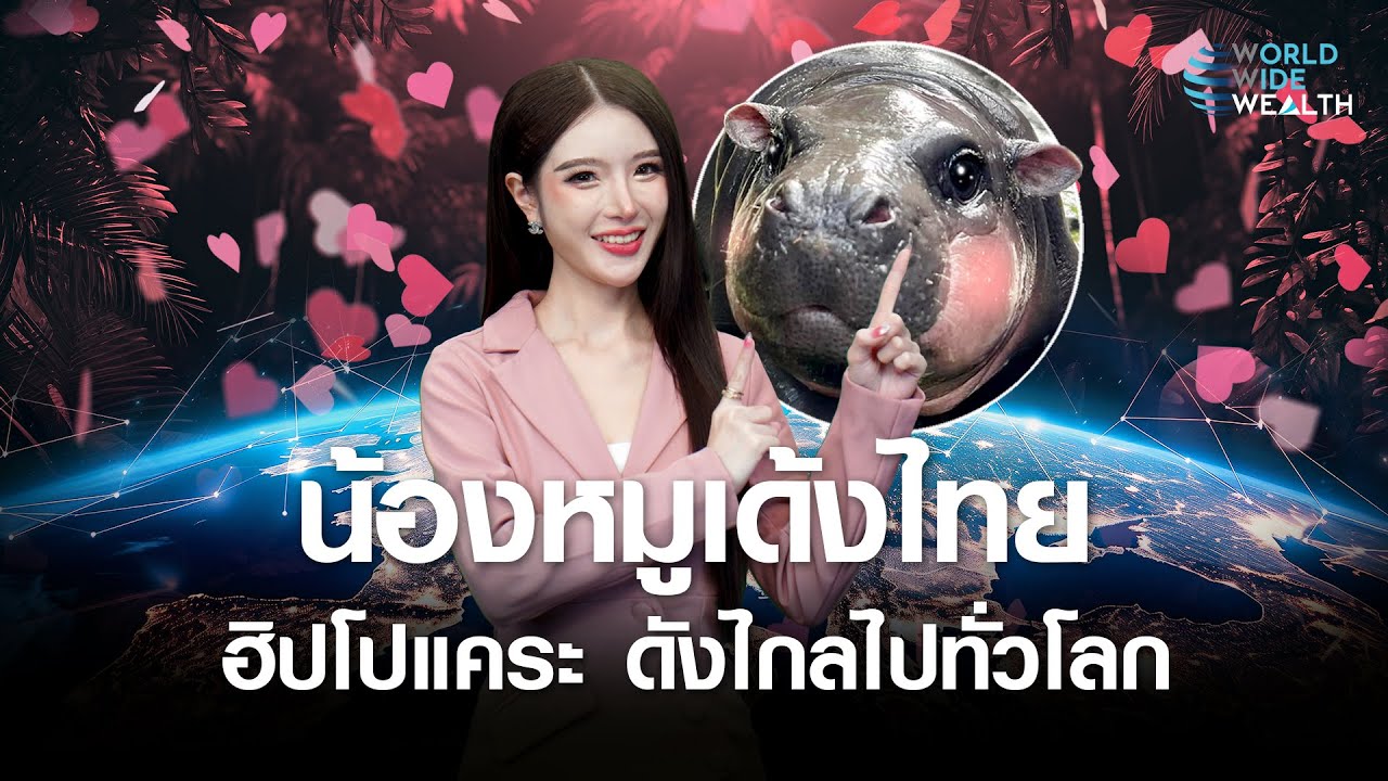 น้องหมูเด้งไทย  ฮิปโปแคระ ดังไกลไปทั่วโลก l World Wide Wealth