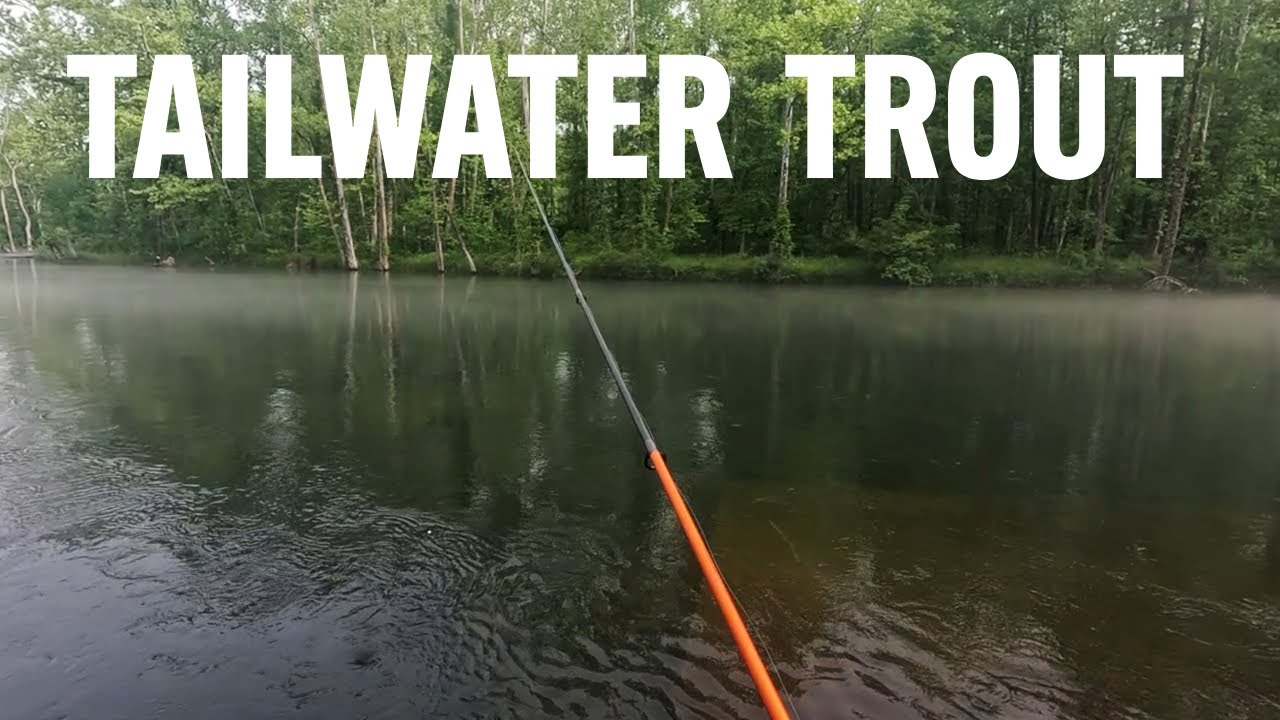 Sluicing Water Trout Fishing – South Holston Gets Wild!