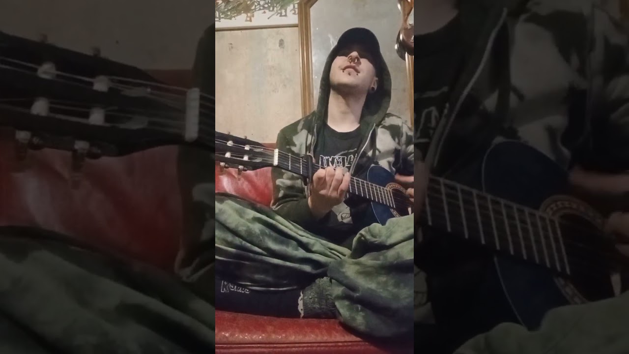 Wenn ich sterbe dann besoffen/ fidle Kunterbunt cover