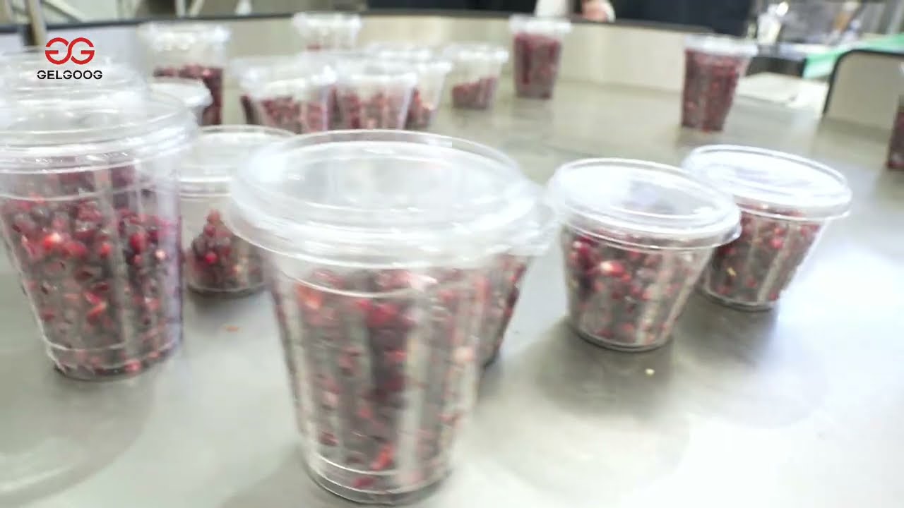 Pomegranate Peeling Processing Line