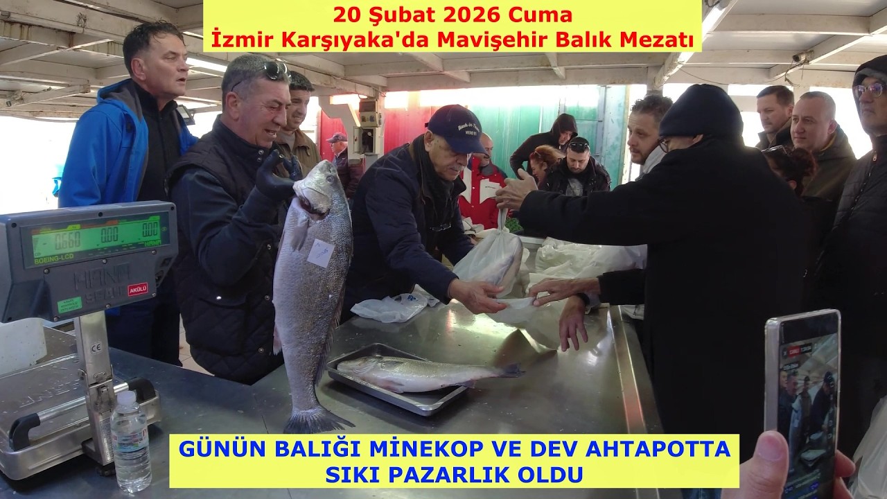GÜNÜN BALIĞI MİNEKOP İLE DEV AHTAPOTTA SIKI PAZARLIKLAR OLDU. 20 Şubat 2026 Cuma.