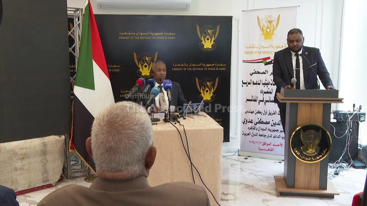 Sudan&rsquo;s ambassador in Cairo accuses the Rapid Support Forces of carrying out war crimes