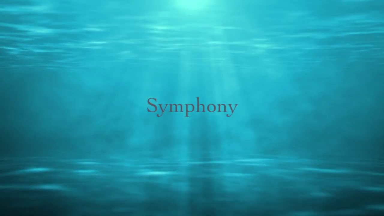 Symphony / Clean Bandit feat. Zara Larsson / Video Production:UniBirth