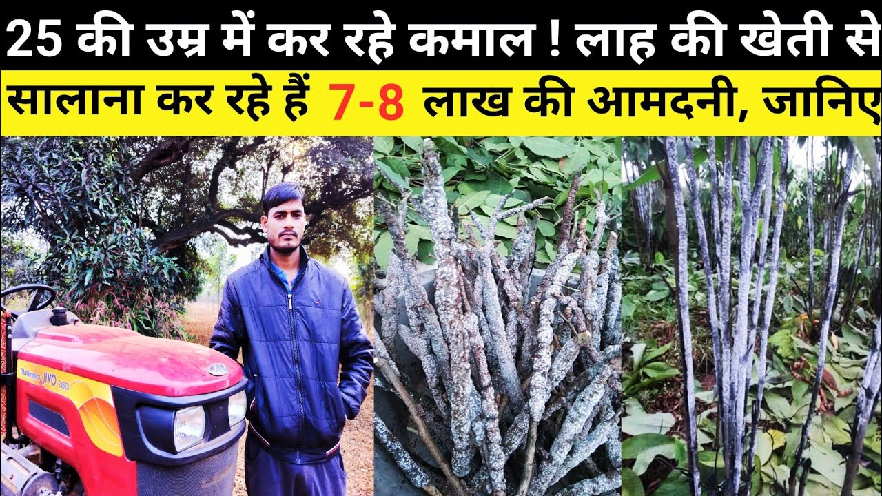 लाख की खेती से किसान बना लखपति | Lakh Ki Kheti Kaise Kare | Lac Cultivation | Lah Farming | ins vlog