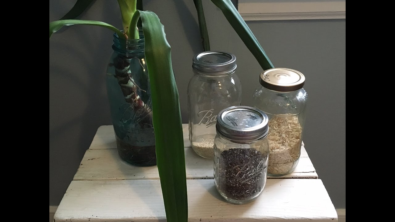 Making your kit for zero waste grocery shopping