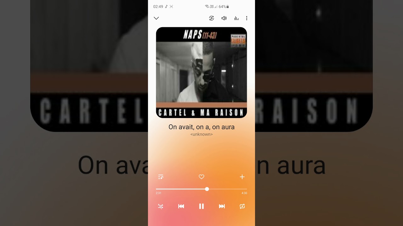 Naps on avais, on a, on aura