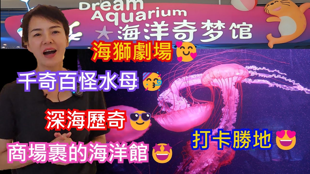 海洋奇夢館🤩深圳地鐵9号線深圳灣公園站E出口🎀歡樂海岸購物中心 L2層西側🤠商場裹的海洋館🤩海獅劇場🥰千奇百怪水母🥳深海歷奇😎打卡勝地😍
