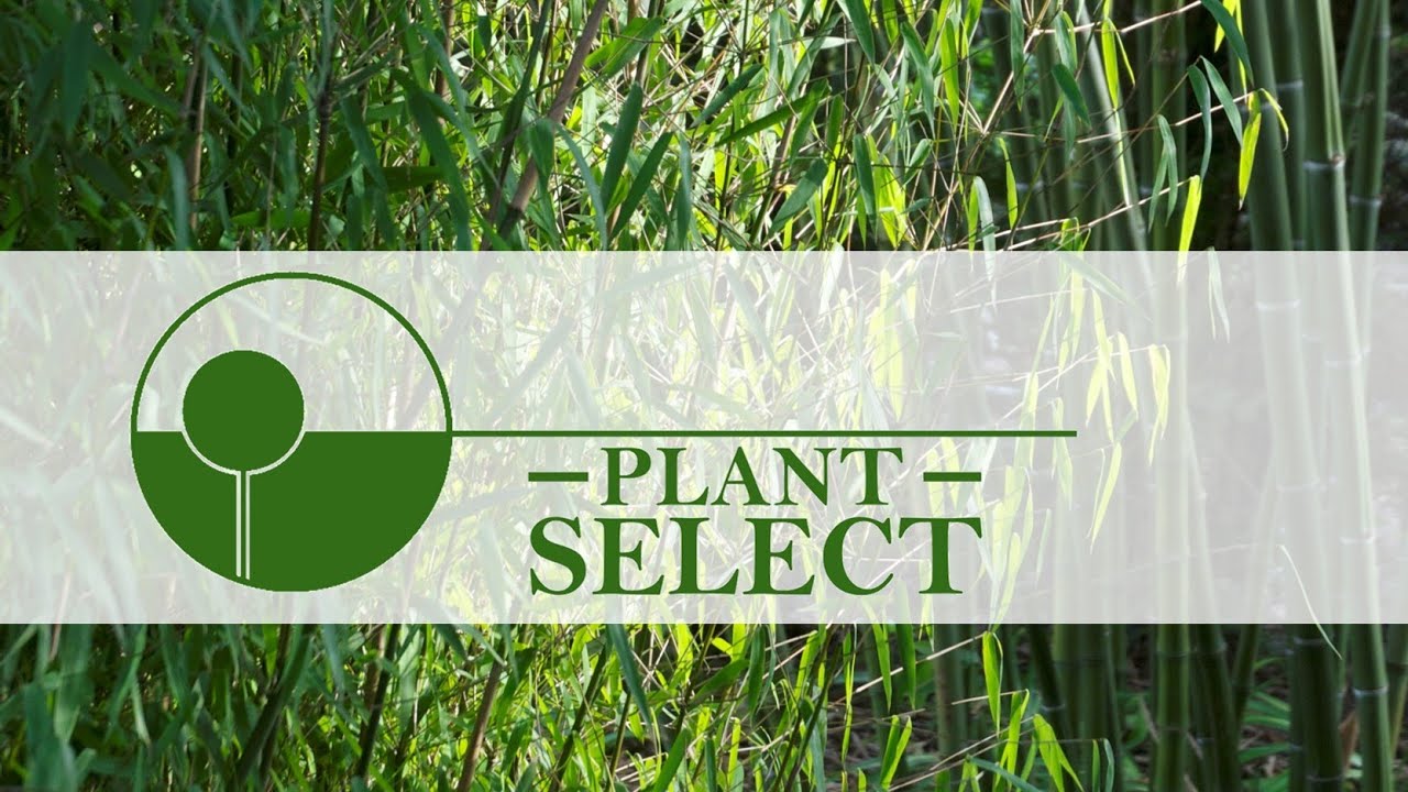 Plant Select - Welcome
