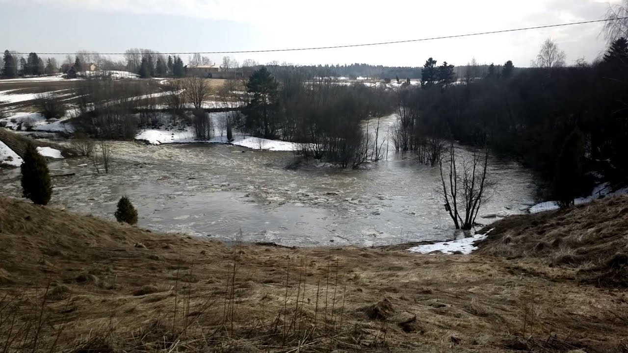 Tarvasjoki tulvii