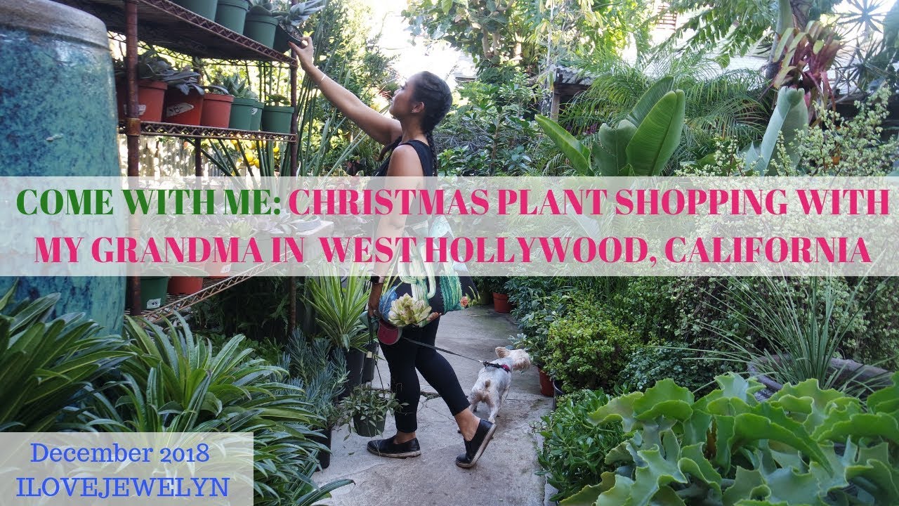 Come with me:Christmas Plant Shopping with my Grandma | West Hollywood | Dec 2018 | ILOVEJEWELYN