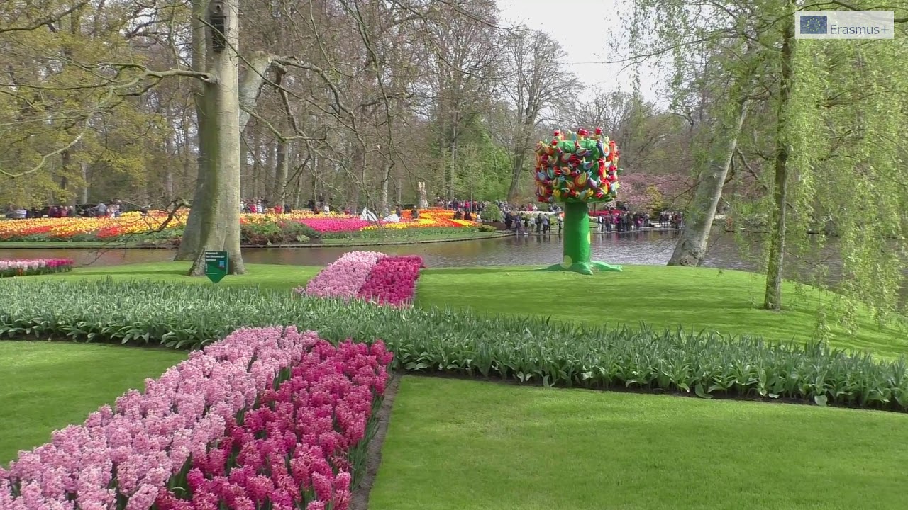 Wirtualne spacery - Ogród Keukenhof. Holandia