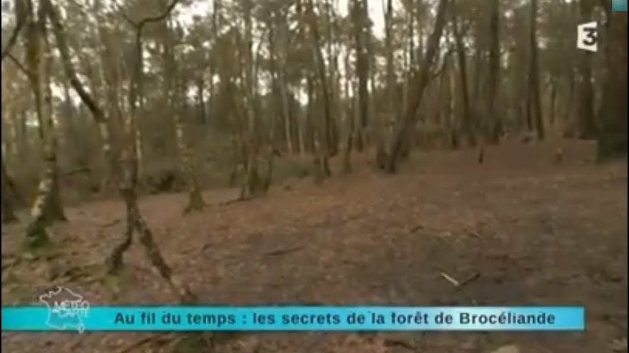 Reportage région : direction la forêt de Brocéliande