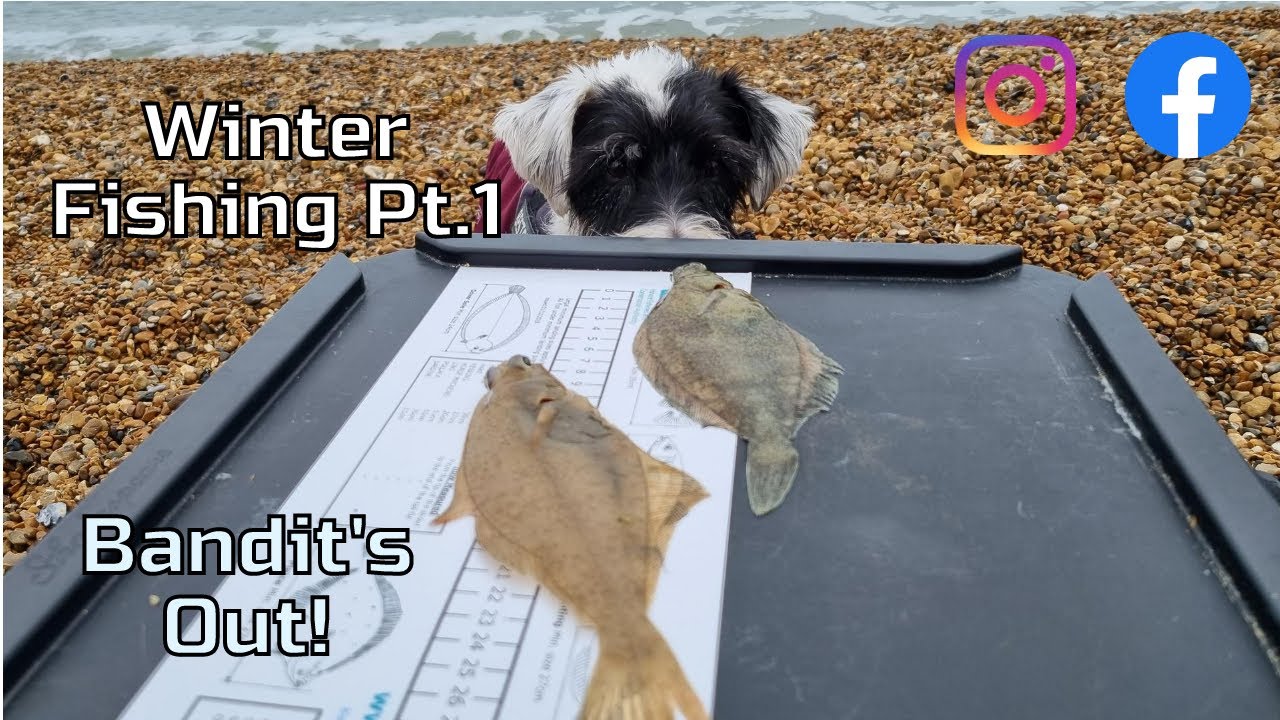 Winter sea fishing in the South East Pt.1 Day Fishing