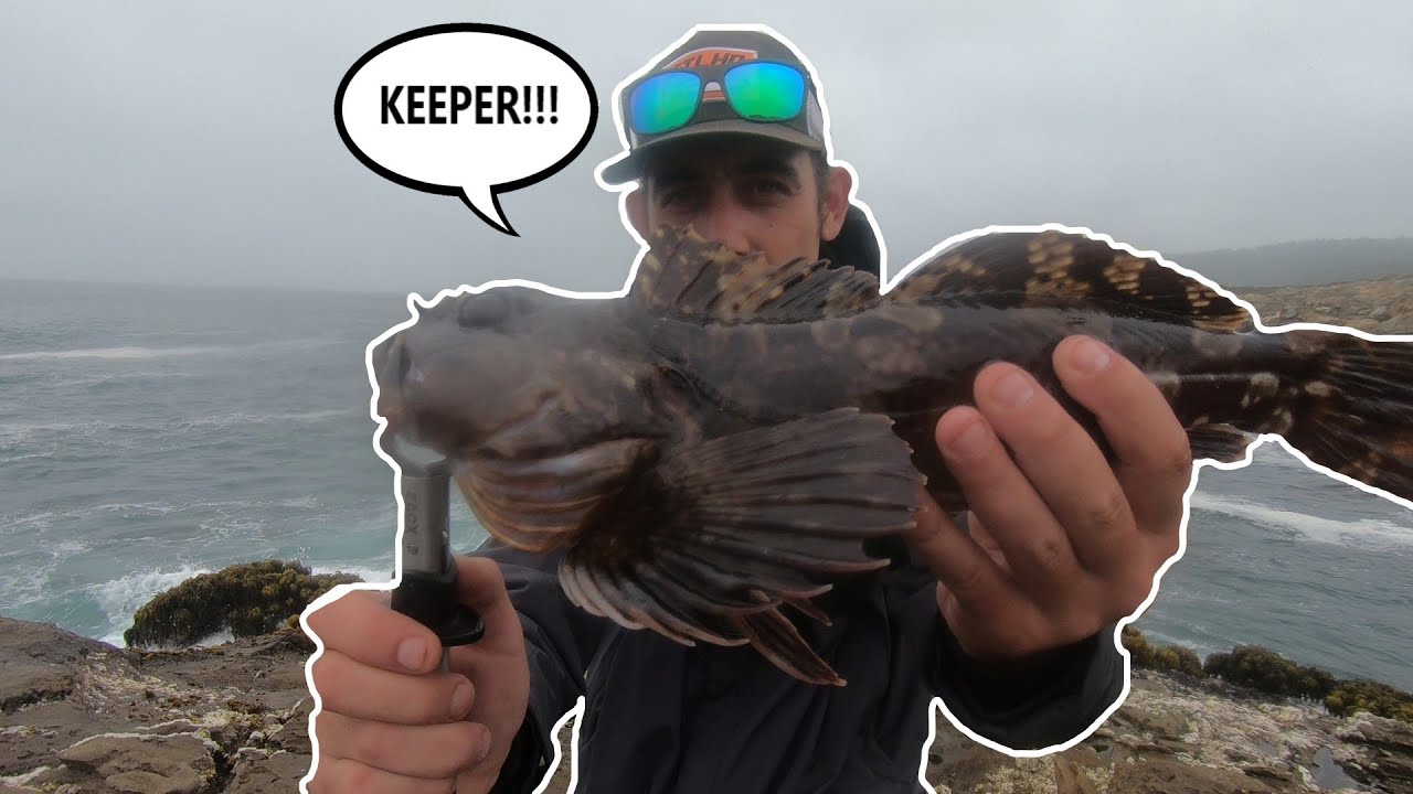 EXPLORING NEW ROCK-FISHING LOCATIONS ALONG HWY 1!!( fishing the CLIFFS!!)