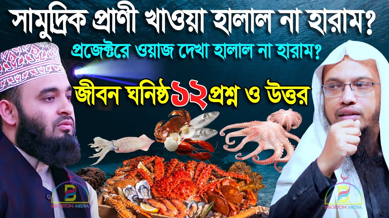 সামুদ্রিক প্রাণী খাওয়া ও প্রজেক্টরে ওয়াজ দেখা হালাল না হারাম? ১২ প্রশ্ন ও উত্তর Sheikh Ahmadullah