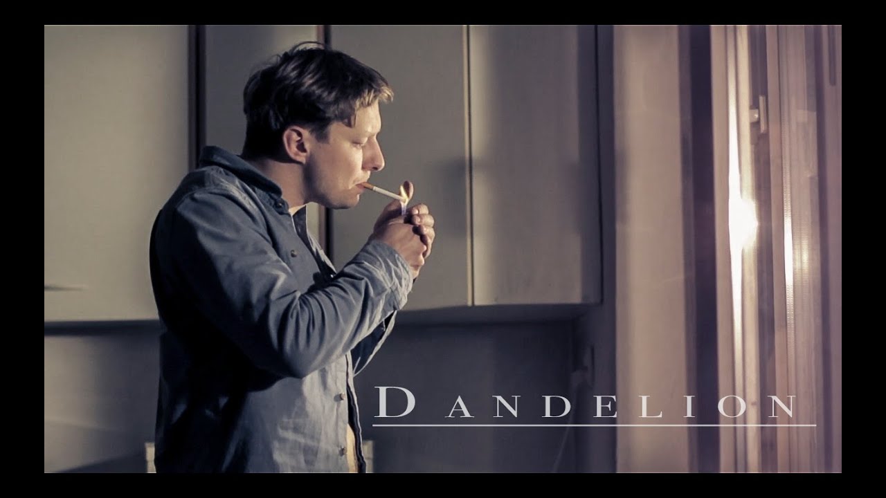 SHUTTUP- dandelion (D.I.Y. official video)