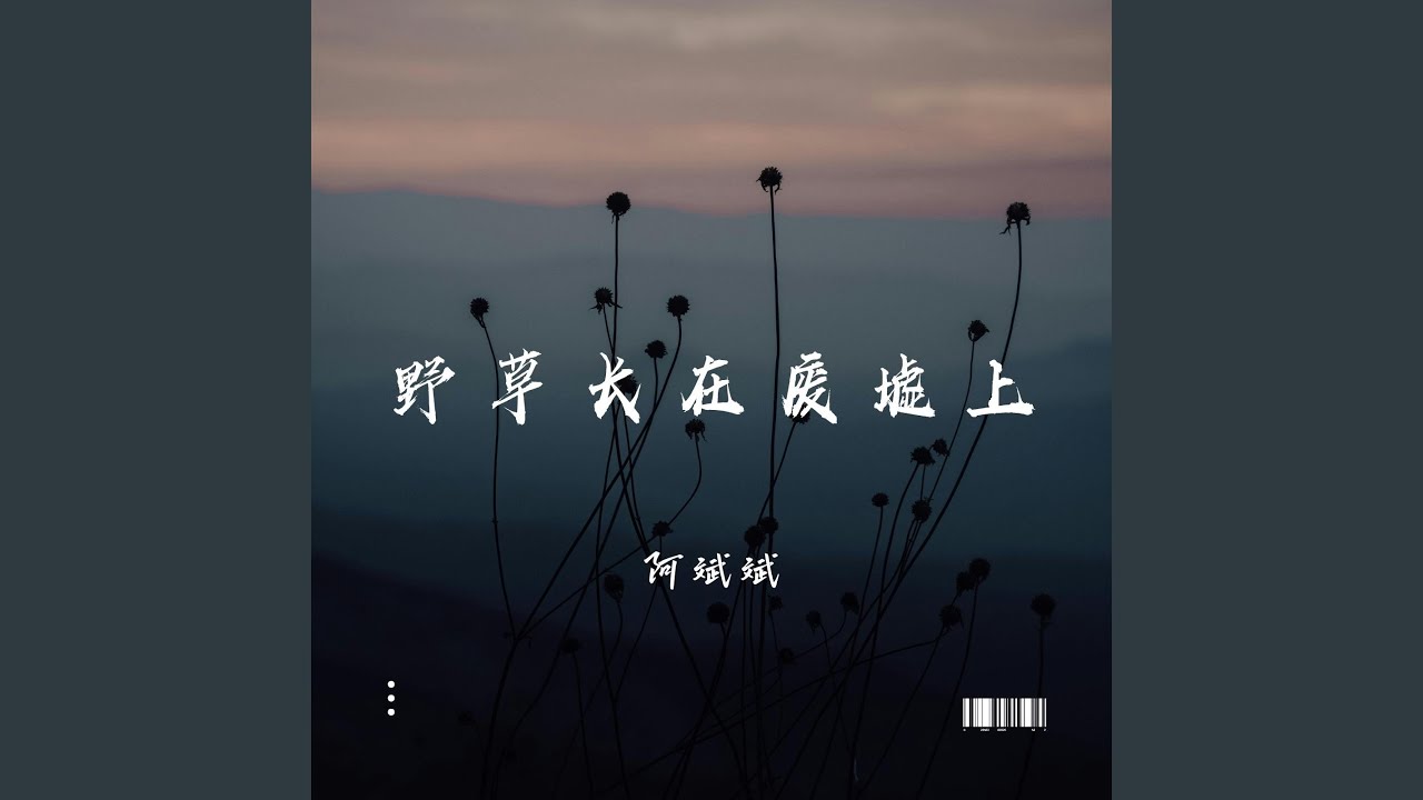 野草長在廢墟上（DJ阿本版）