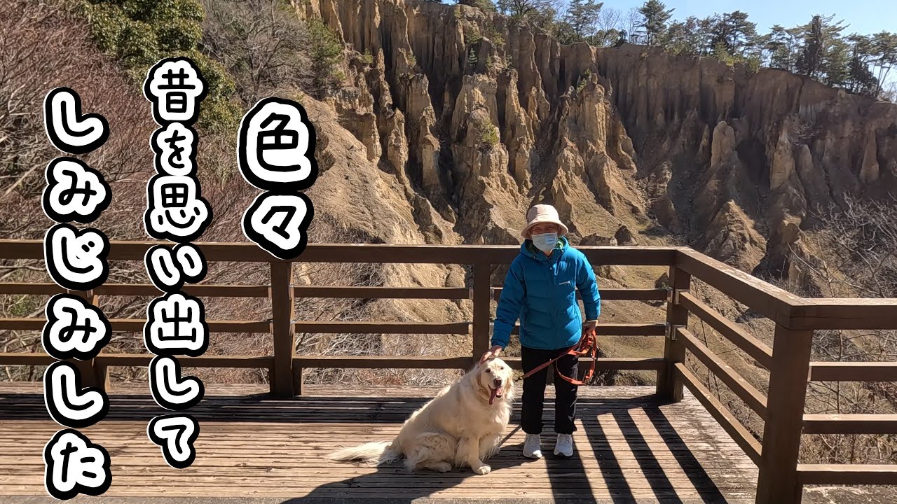 【82歳と4歳大型犬】ばあやんのイマイチだった体調が復活したので思い出の観光地へ散歩に行ったらしみじみした・・・。　#メイちゃんねる