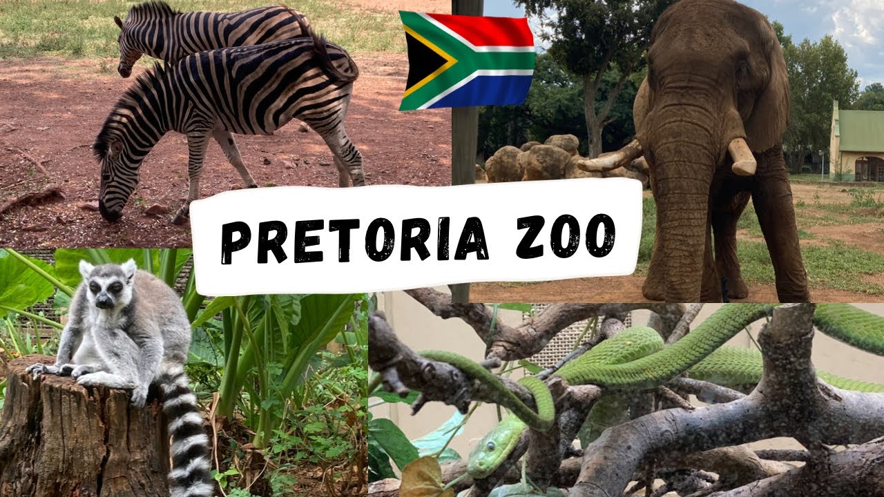 Exploring The Pretoria Zoo | The National Zoological Garden of South Africa