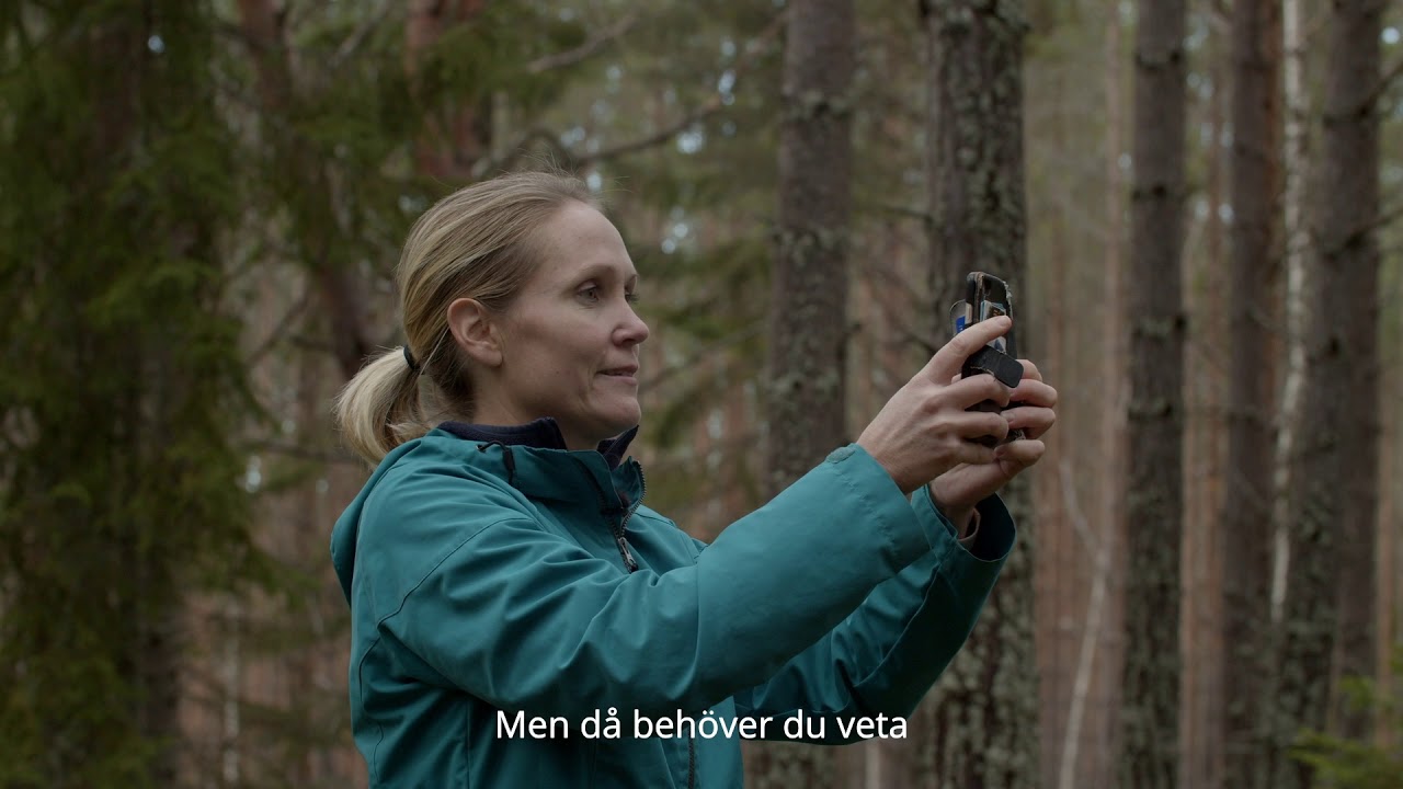 Skogskunskap Bonitet