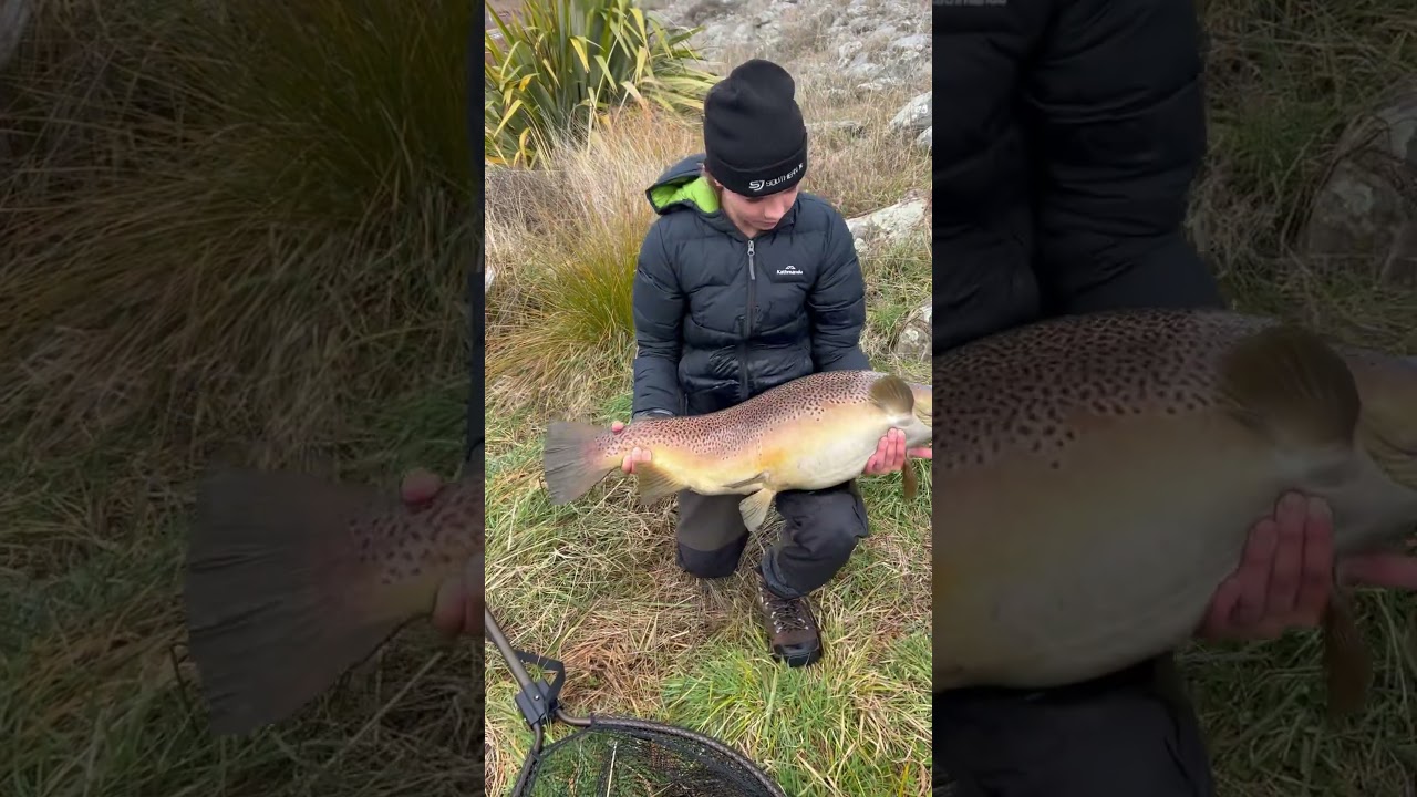 25lb Brown Trout, caught by Tyson in the Twizel canals. #twizel #browntrout #trout #fishing #nz #rv