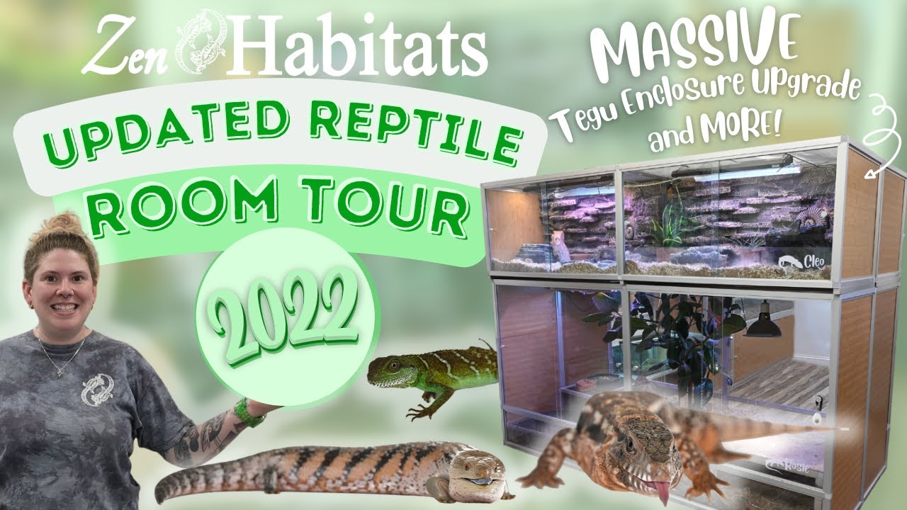 Updated Reptile Room Tour 2022! | MASSIVE Tegu, Blue-Tongued Skink Upgrades + MORE! | Zen Habitats