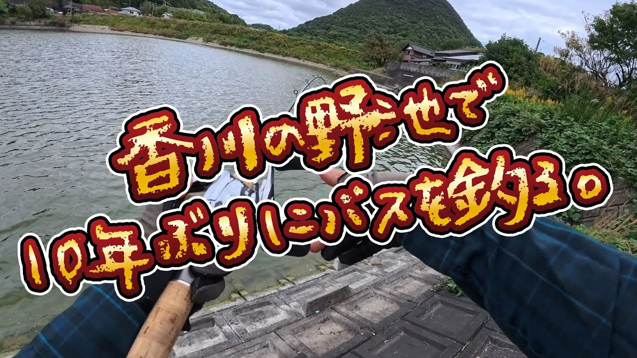 香川の野池で10年ぶりにバスを釣る。