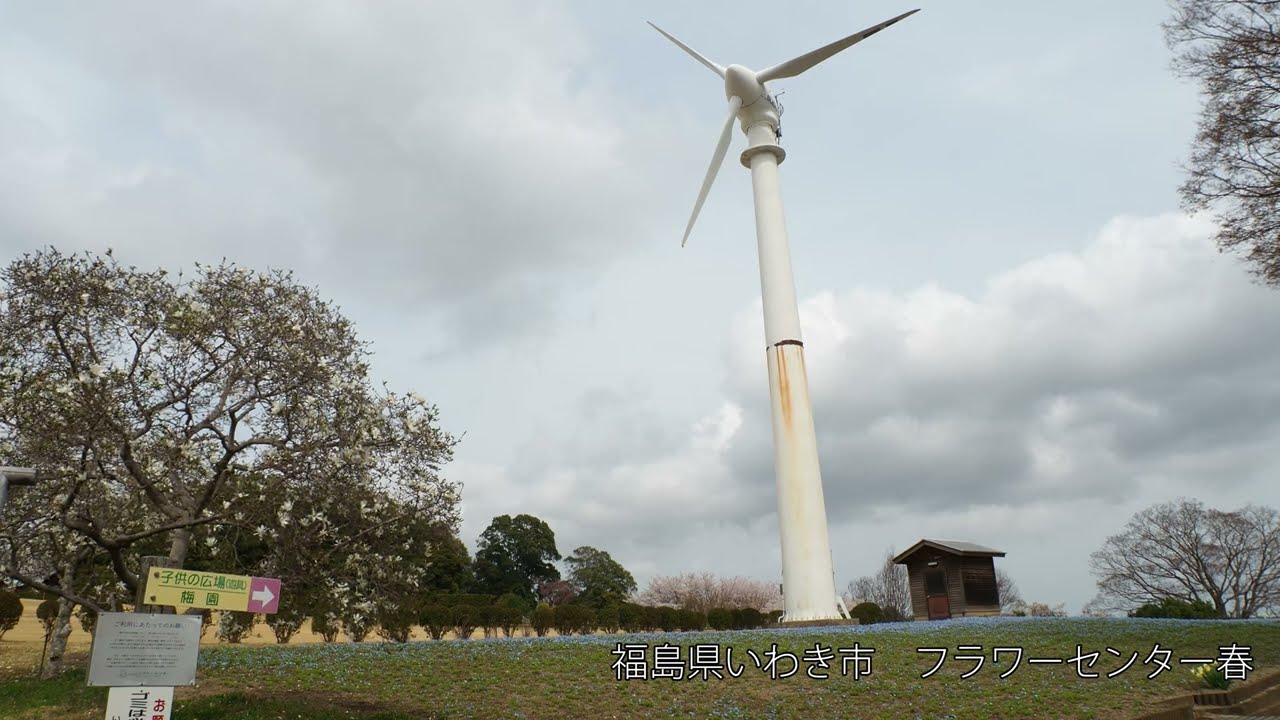 2025年4月フラワーセンター春
