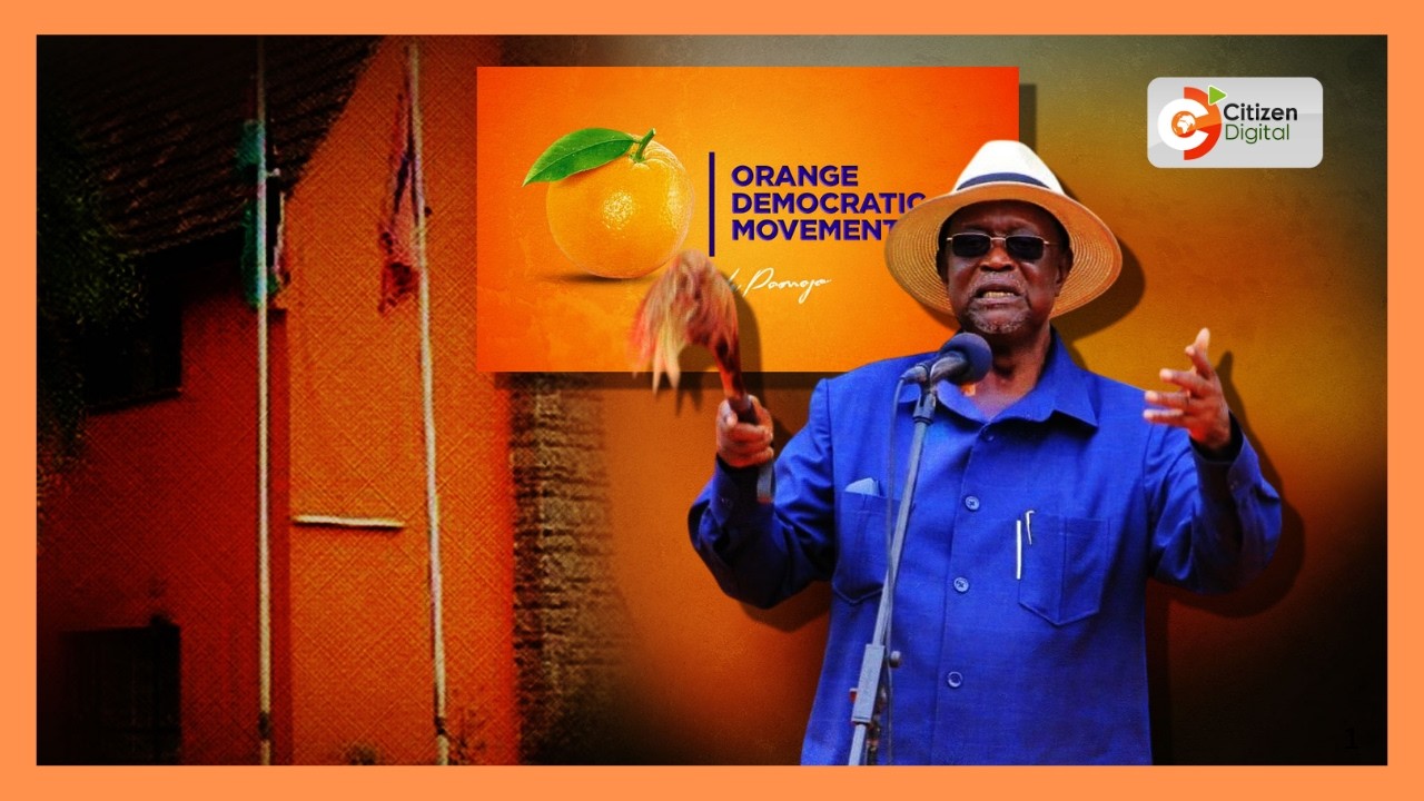 Oburu Oginga asema chama cha ODM kinatafuta kiti cha Naibu Rais kwenye uchaguzi ujao