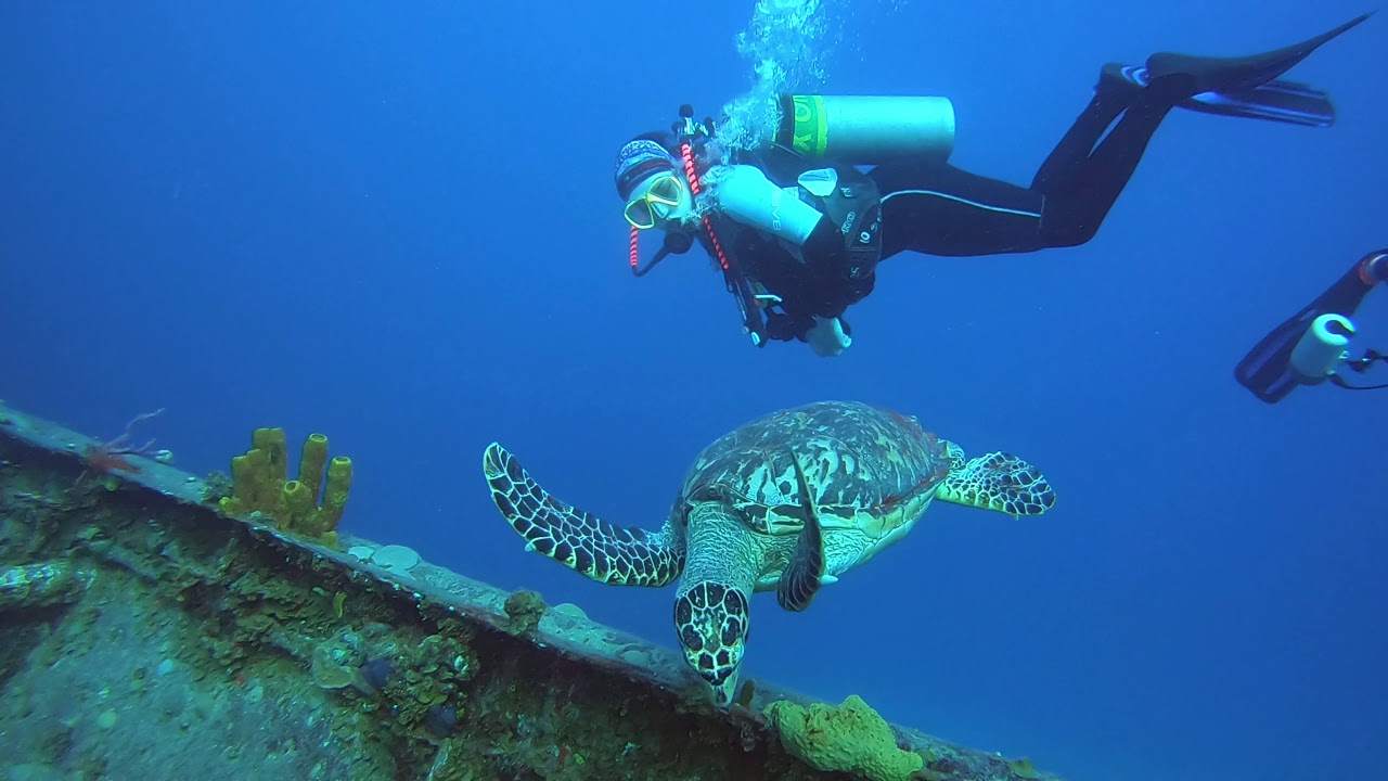 Cameron's Family Scuba Diving