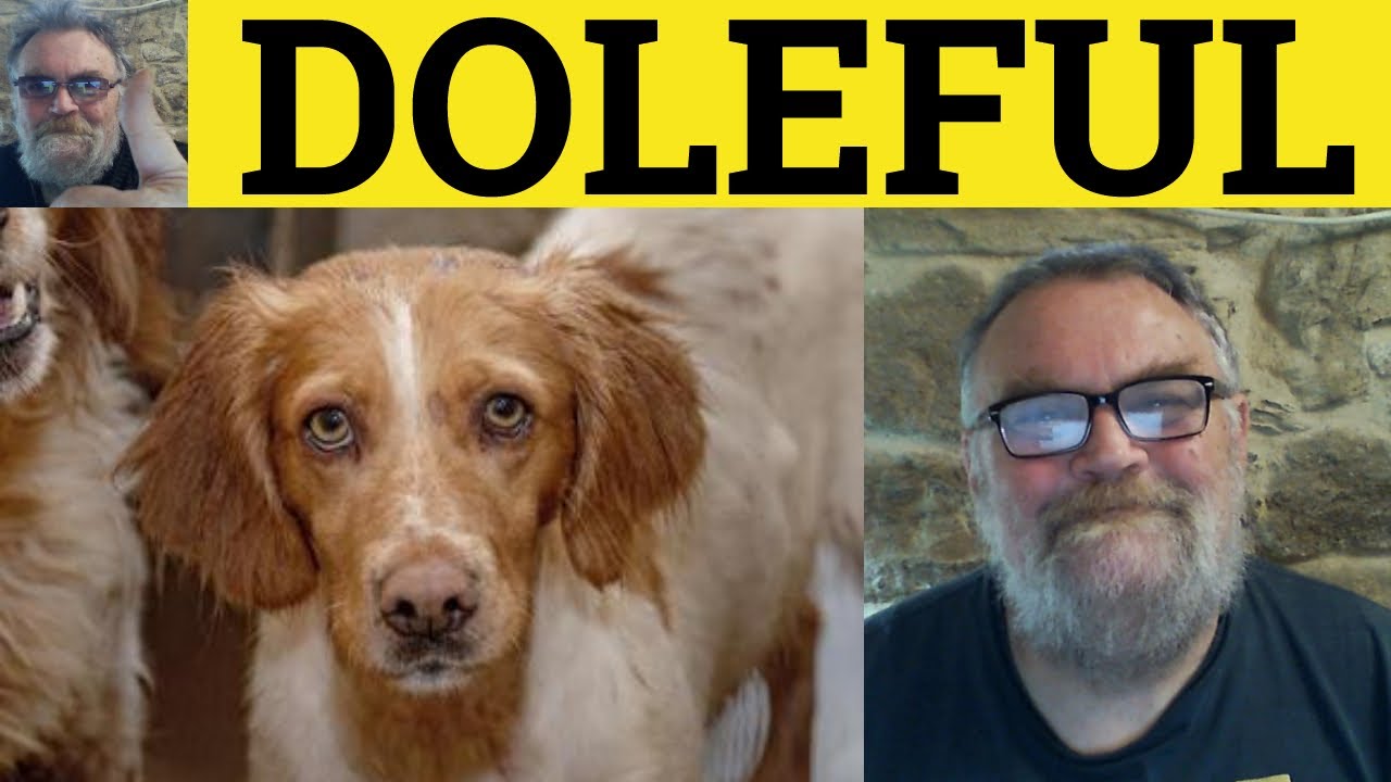 🔵 Doleful Meaning - Dolefully Defined - Doleful Examples - 501 Synonyms  - Doleful Expression