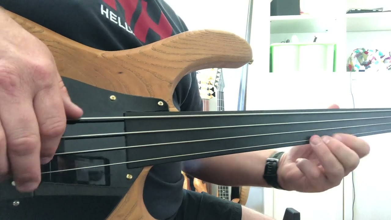 Summertime Fretless bass solo