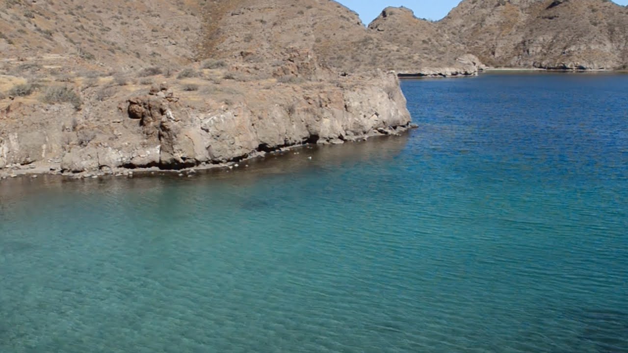 Mexico's Stunning Desert Landscapes | The Wild Place | BBC Earth