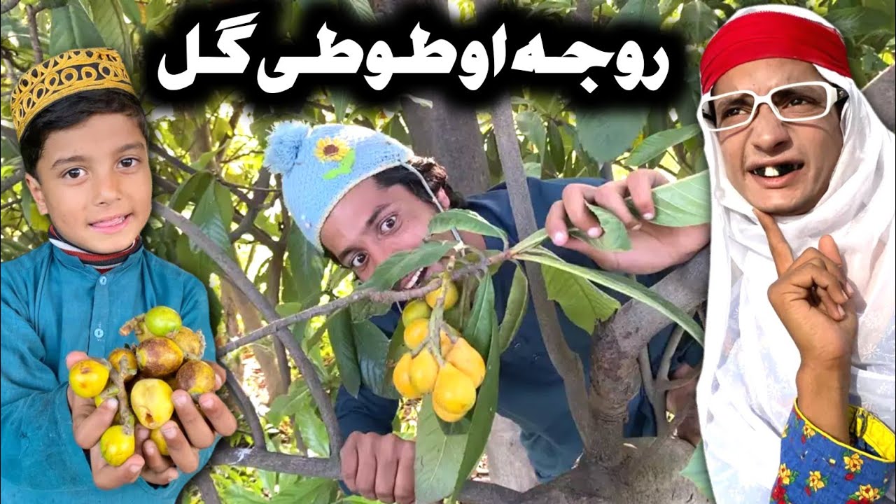 Roja Ao Tuti Gull || Pashto New Funny Video 2023 by Tuti Gul Official