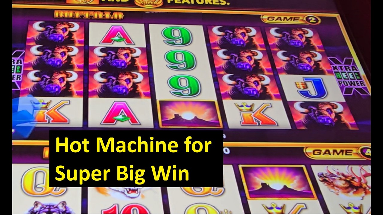 Huge Win on Buffalo Wonder 4 Collection! Aristocrat Game