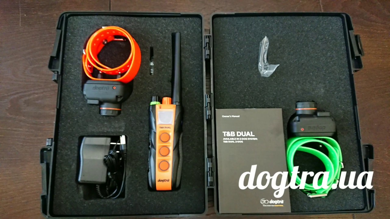 Обзор Dogtra TB DUAL 2 DOG (на 2 собаки)