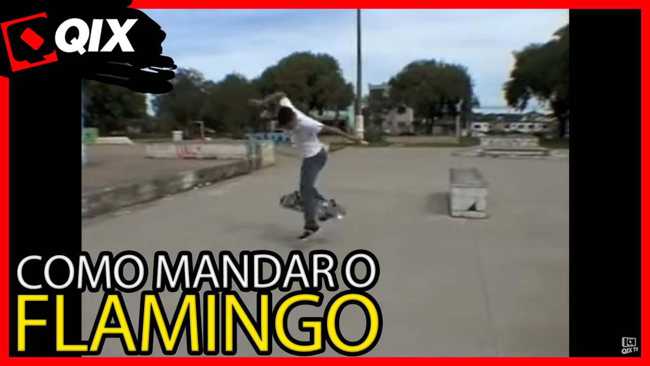 Qix Start - Flamingo 🛹