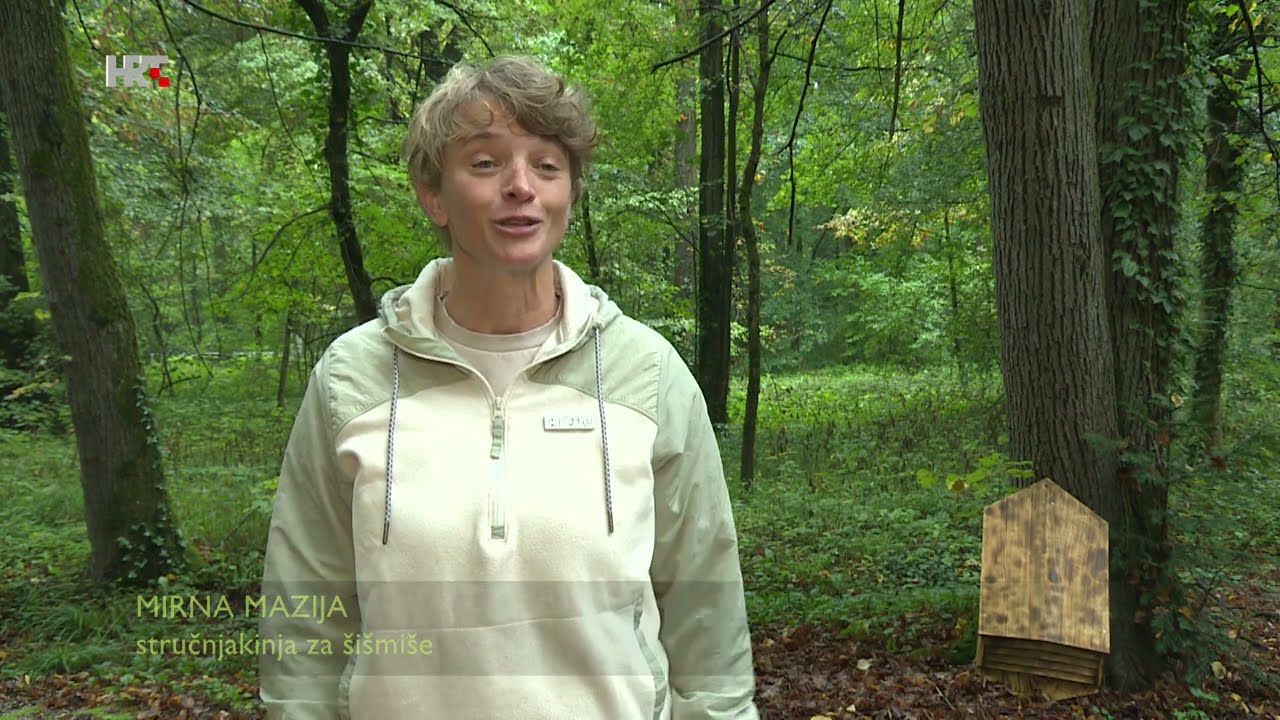 HRT EKO ZONA ŠIŠMIŠI beznajave by Snjezana Babic