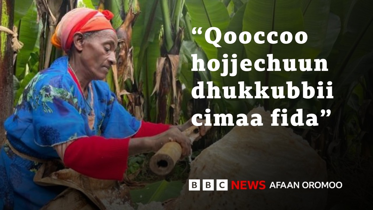 Soorata warqee qopheessuun maaliif amma salphaa ta'e? | BBC News Afaan Oromoo