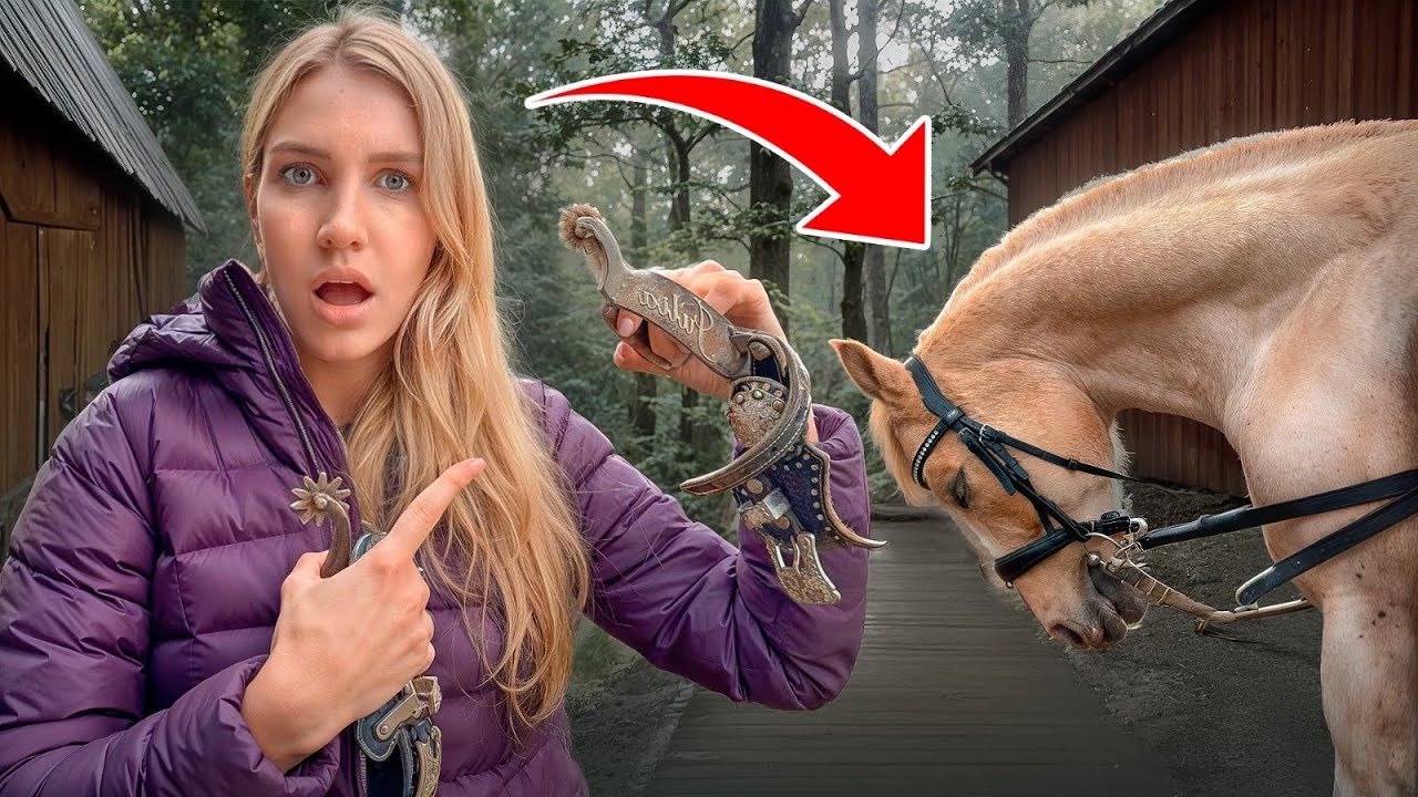 ⚡️PROBLEME im REITSPORT ⚡️( Schlaufz&uuml;gel/ Sporen/ Boxenhaltung/ Wendys)