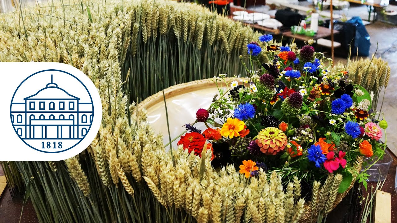 Floristmeister-Ausstellung: Forschung floral interpretiert (Making-of)