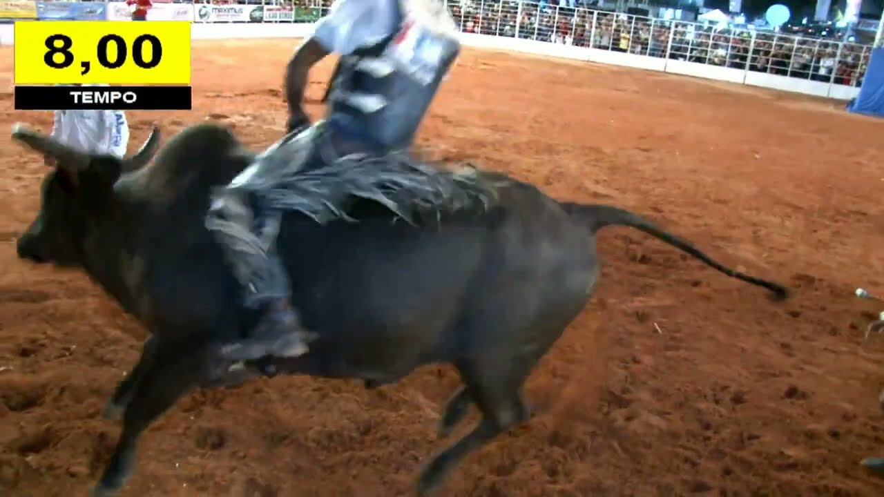 Boiadas🐮 Montarias Rodeio de Paragominas - Cia Dallas 2021