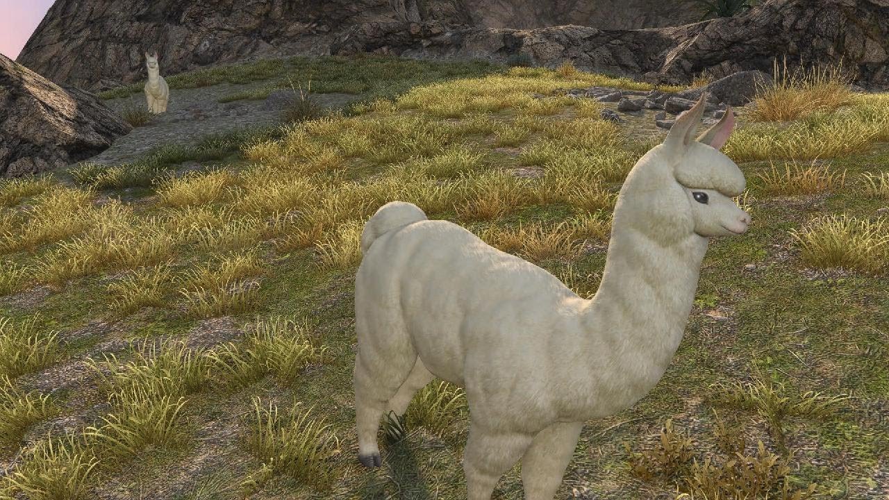 To Urqopacha: Speak with the Approachable Pelu – Main Scenario Quest | Final Fantasy XIV PS5