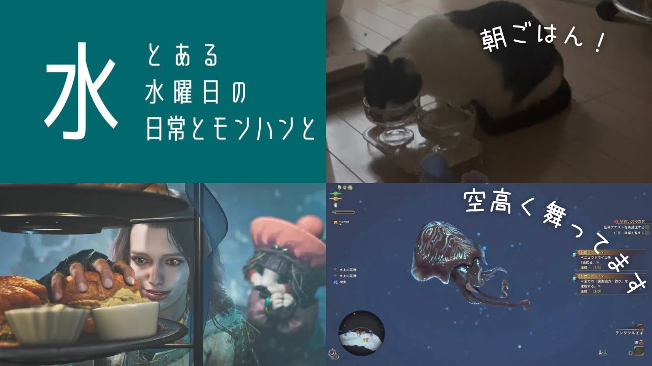 11月のとある水曜日-日常とモンハンワイルズ夢灯の儀が最終日！！