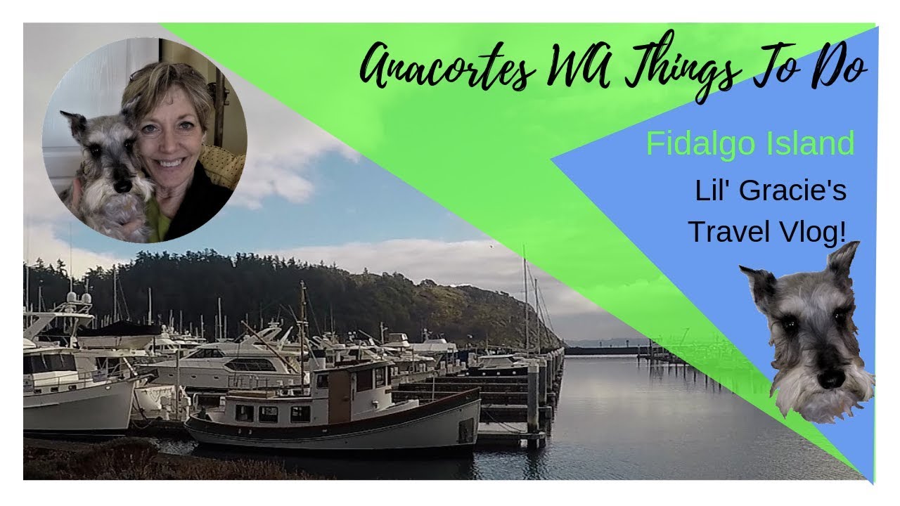 Anacortes WA Things To Do (Fidalgo Island) Lil' Gracie's Travel Vlog S1E4